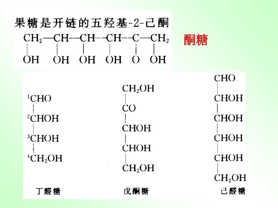 第十三章碳水化合物课件_第5页