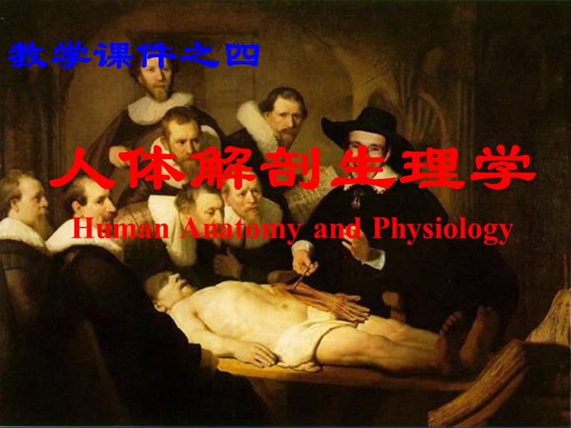 解剖生理学第四章运动系统1教学幻灯片_第1页