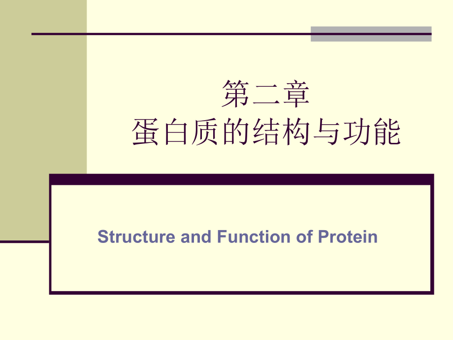 第二章 蛋白质结构与功能课件_第1页