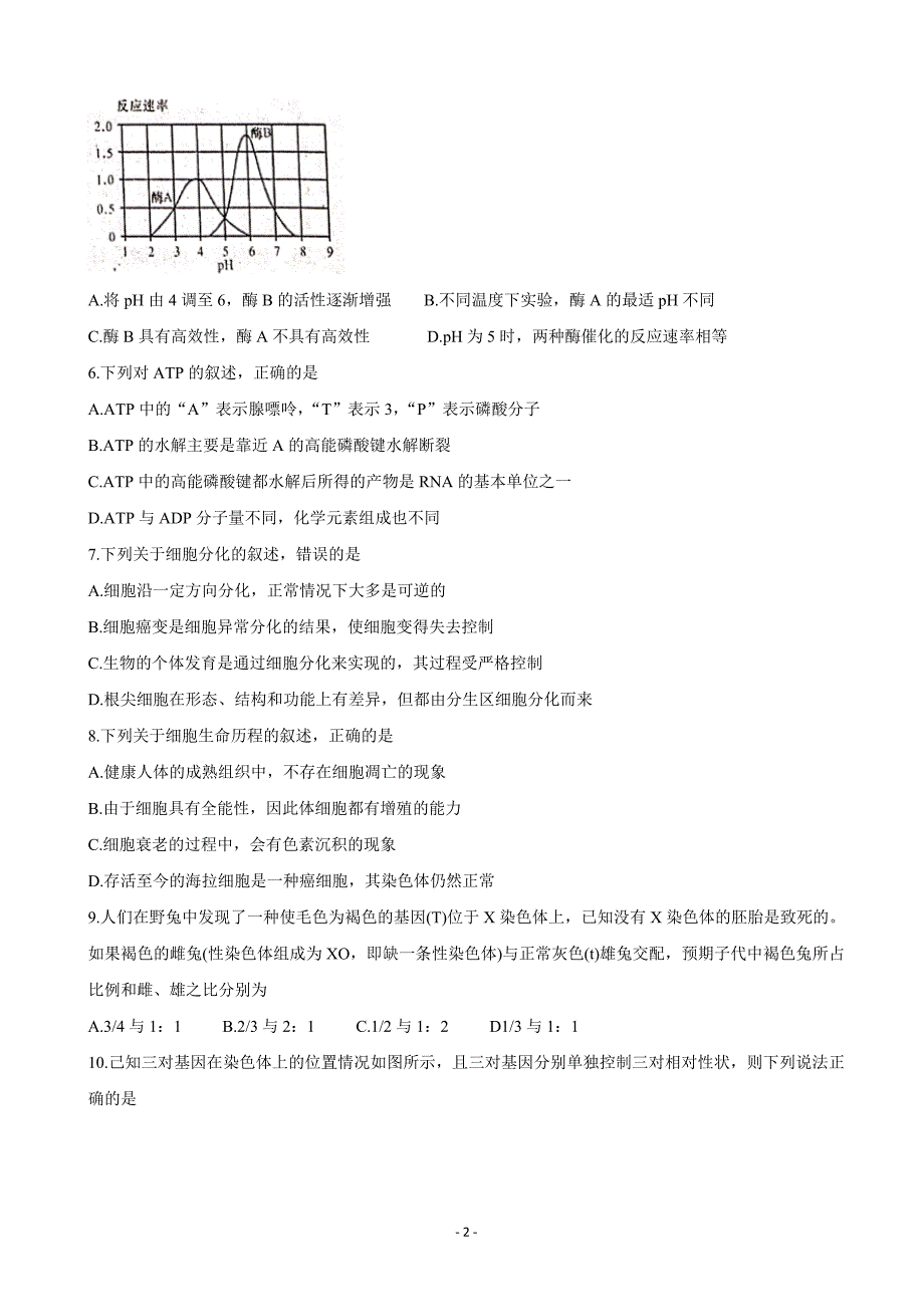 2020届陕西省咸阳市武功县高三上学期第一次模拟考试生物_第2页