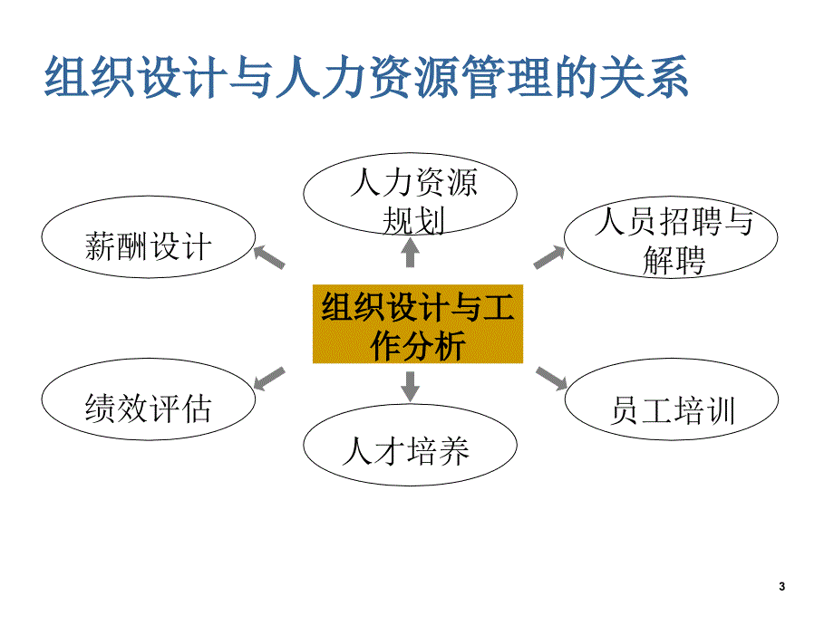 组织设计与工作分析第1章 概论（给学生2012）课件_第3页