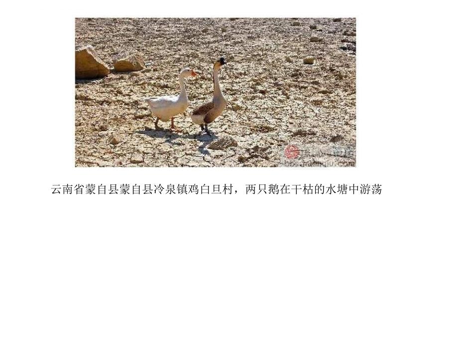 关注西南大旱 珍惜水资源课件_第4页