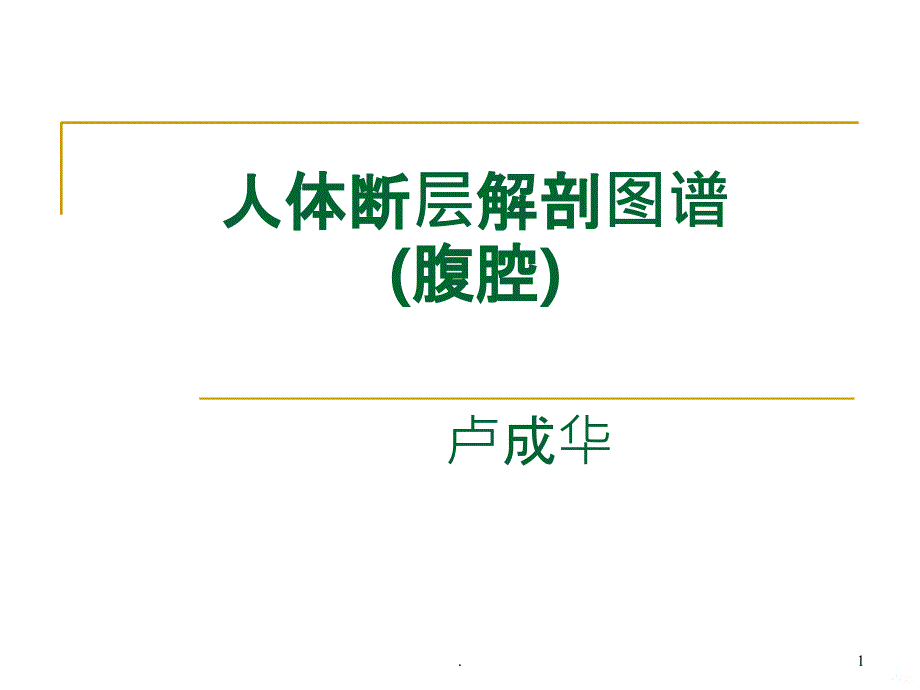 人体断层解剖图谱(腹腔)PPT课件_第1页