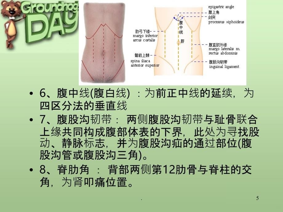 第九节 腹 部PPT课件_第5页