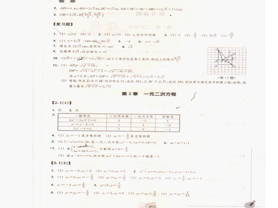 八下浙教版数学作业本答案课件_第2页