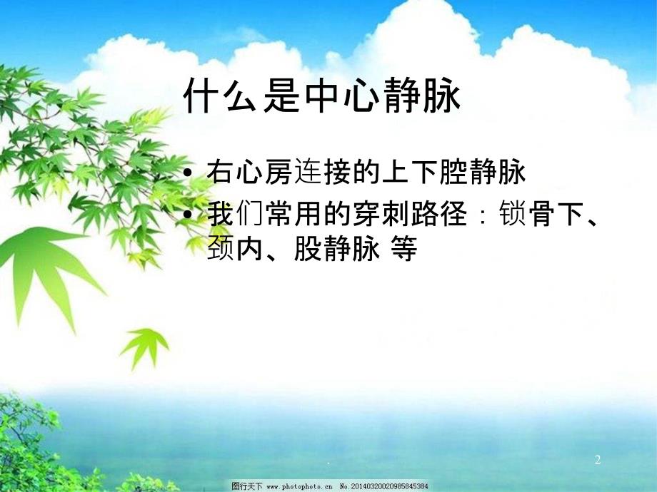 中心静脉置管术PPT课件_第2页