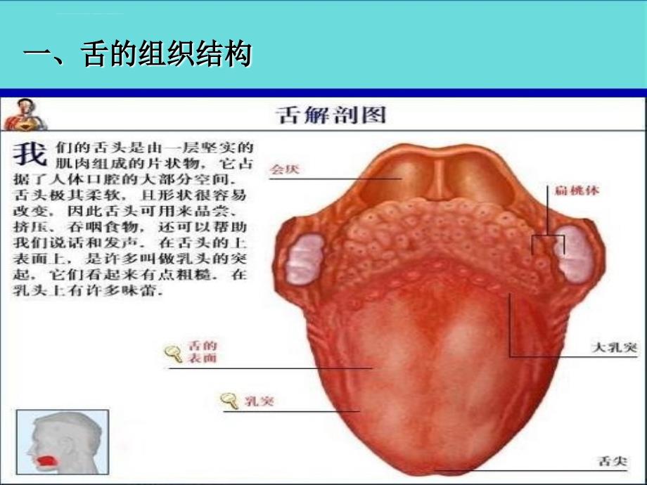 保健按摩学课件_第3页