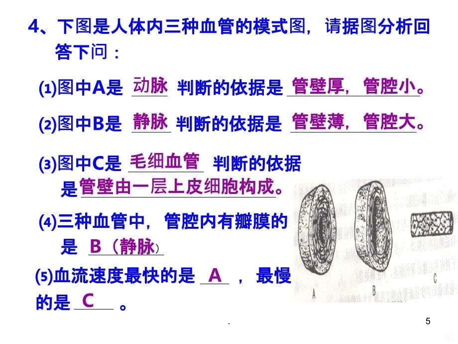 初一生物下册填图专题PPT课件_第5页