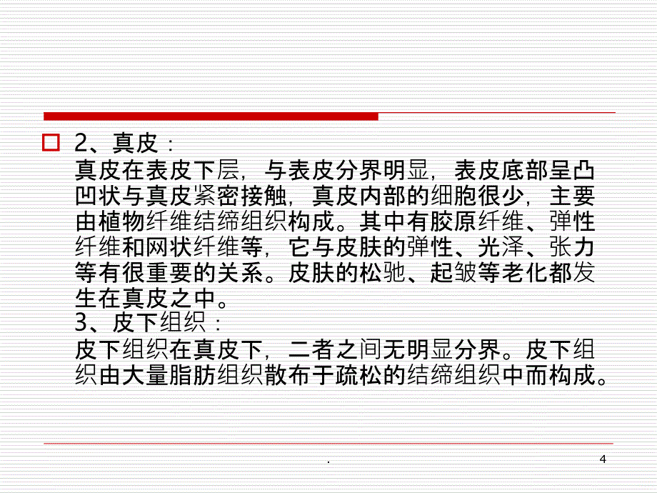 皮肤结构基础知识PPT课件_第4页