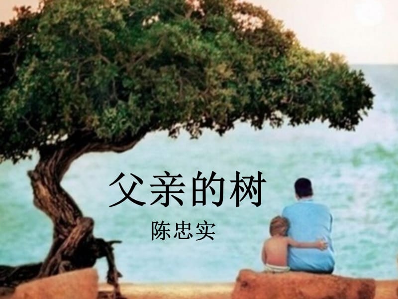 七年级语文上册第四单元第13课《父亲的树》课件1北京课改版_第1页