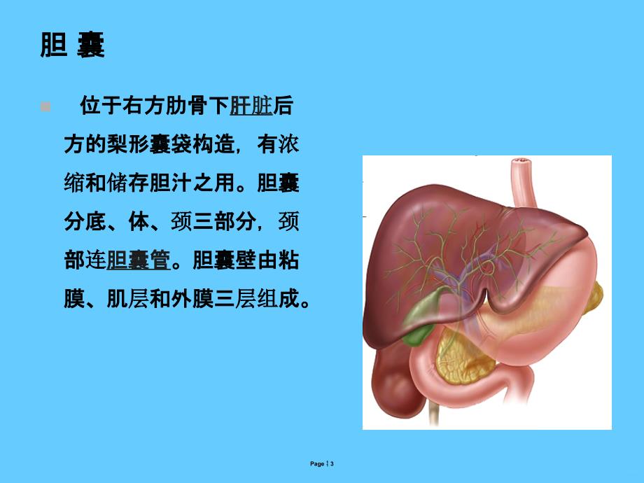 急性结石性胆囊炎病人的护理PPT课件_第3页