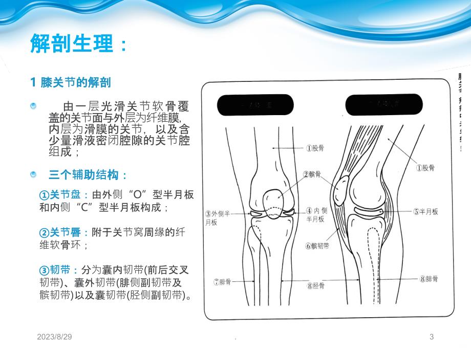 退行性膝关节病变PPT课件_第3页