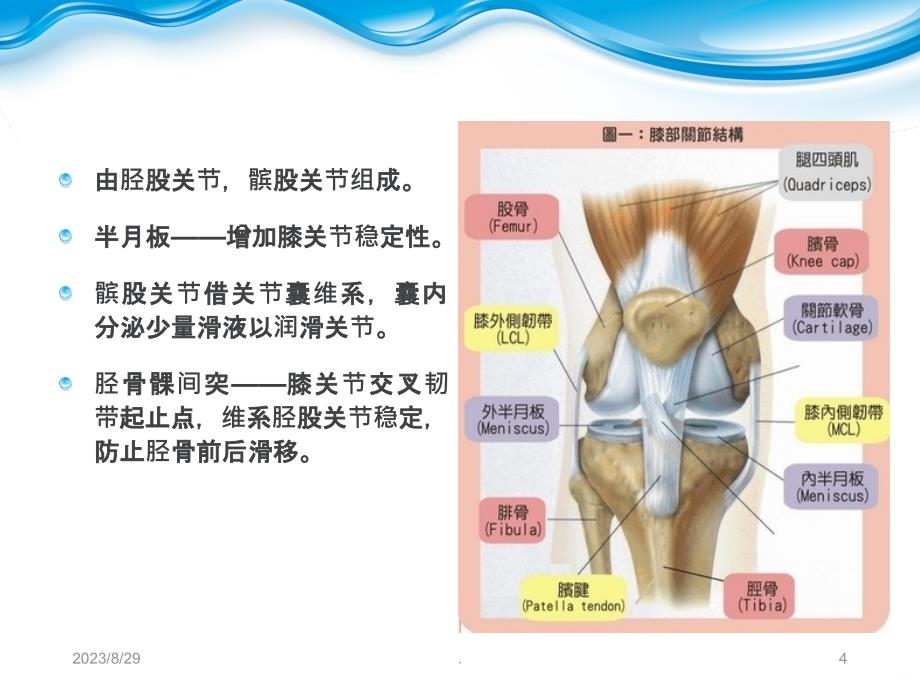 退行性膝关节病变PPT课件_第4页