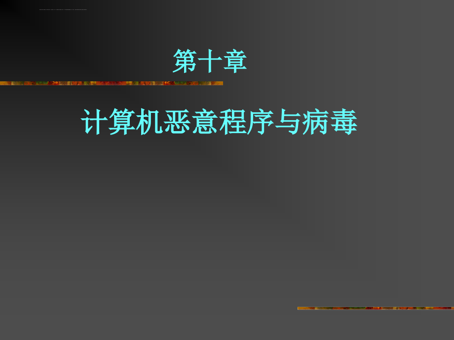 信息安全 10系统恶意程序课件_第1页