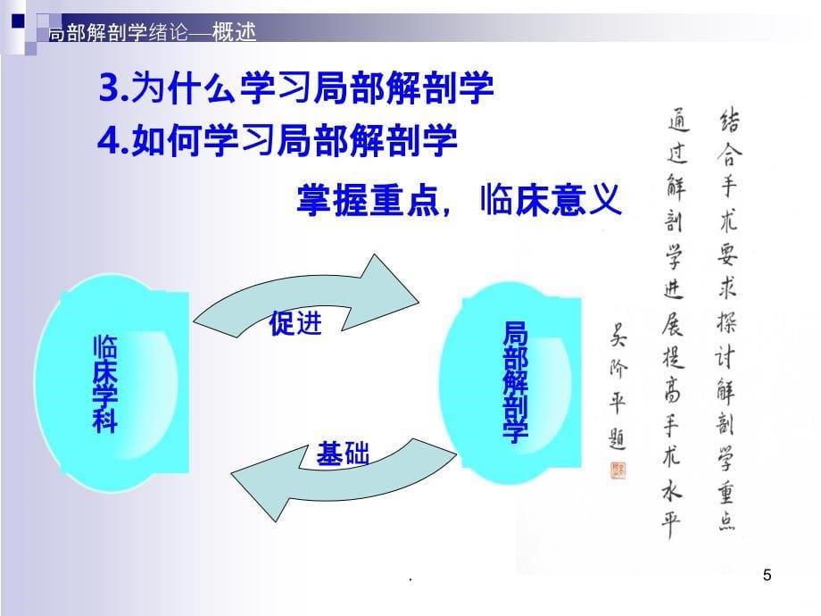 人体结构-头部PPT课件_第5页