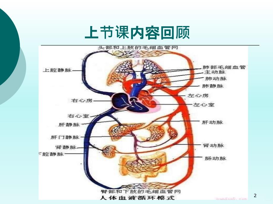 左衰急救护理PPT课件_第2页