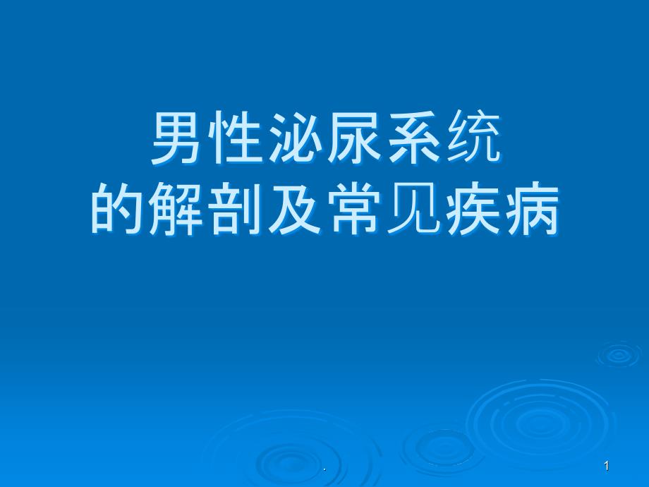 男性泌尿系统的解剖及常见病PPT课件_第1页