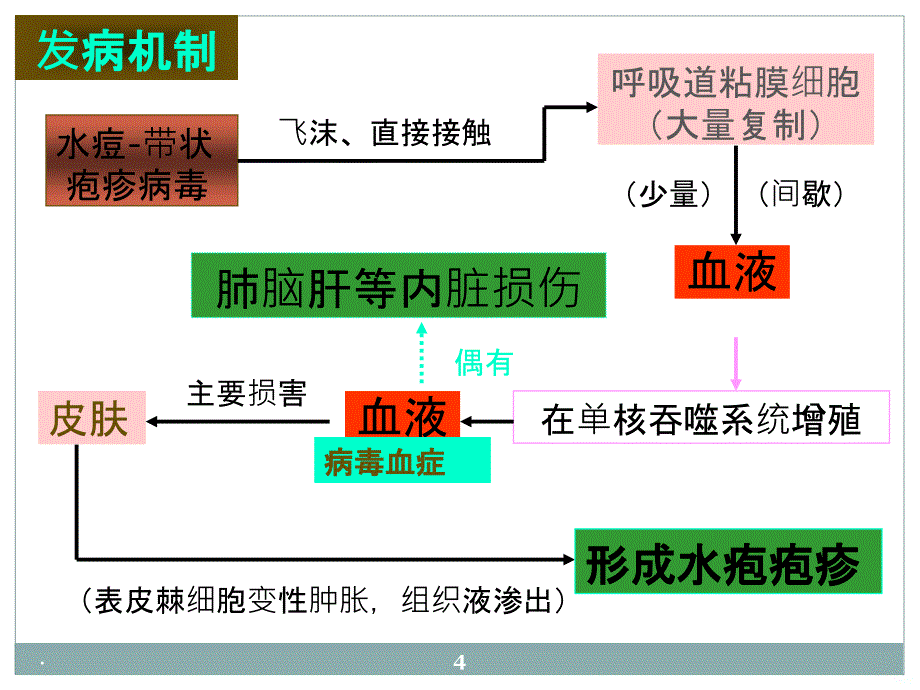 水痘病人的护理精品PPT课件_第4页