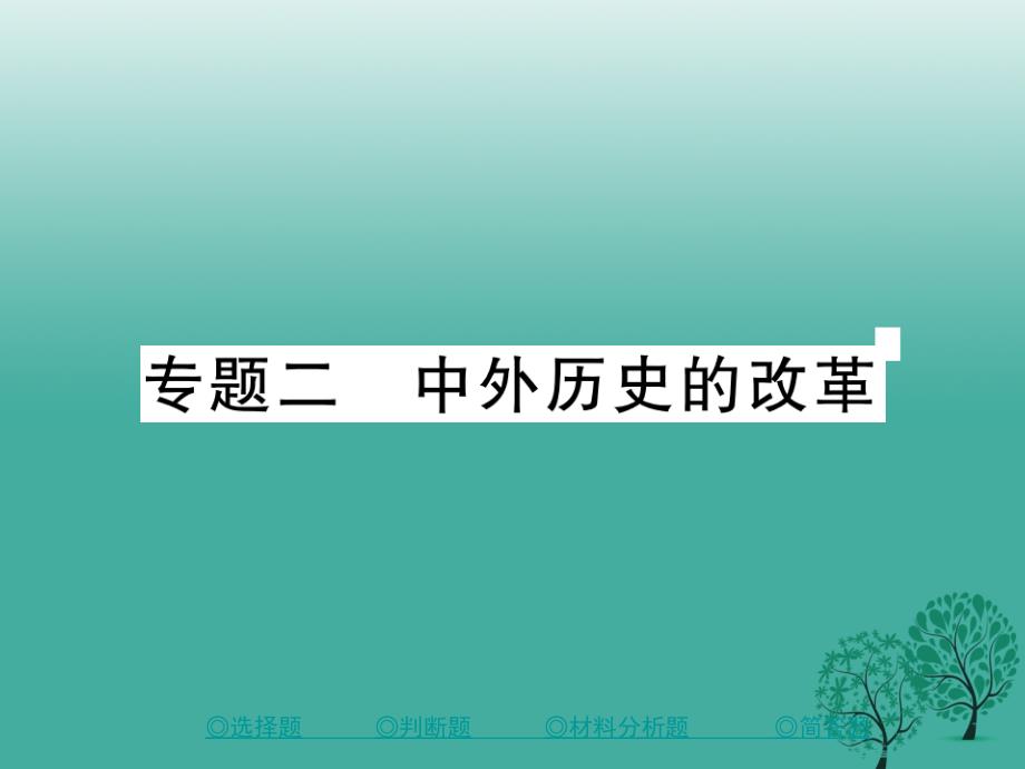 中考历史总复习第二部分专题突破专题二中外历史的改革课件_第1页