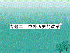 中考历史总复习第二部分专题突破专题二中外历史的改革课件