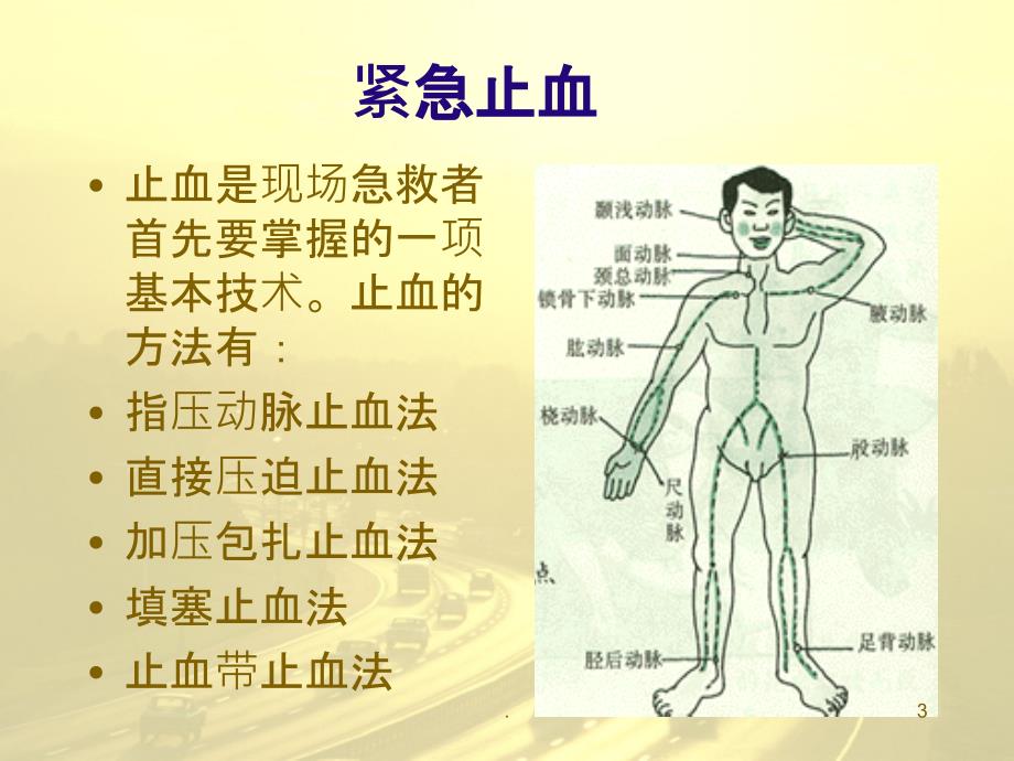 外伤止血包扎固定术PPT课件_第3页