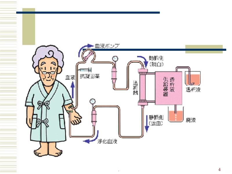 血液净化基础知识PPT课件_第4页