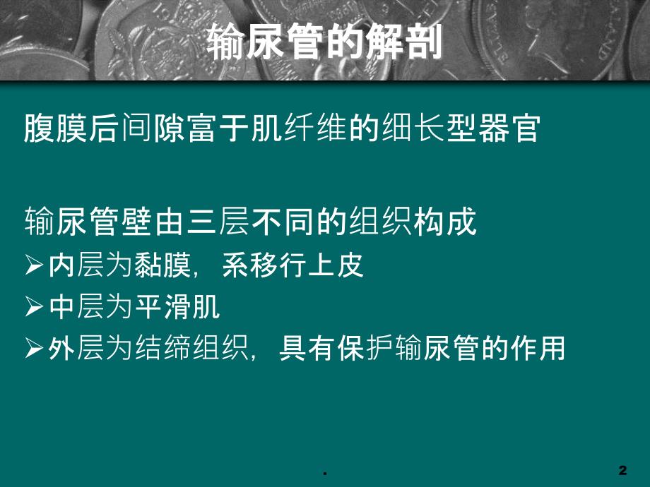 医源性输尿管损伤学习资料精选PPT课件_第2页