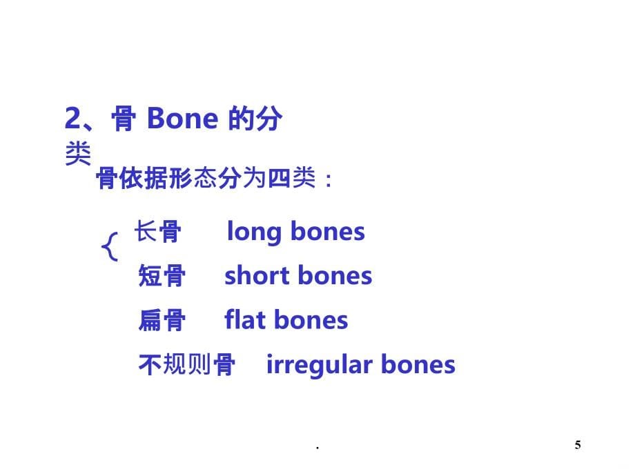 系统解剖学--骨与骨连结PPT课件_第5页