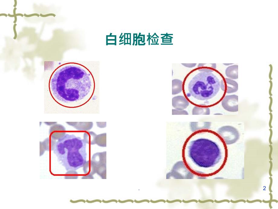 白细胞计数及分类计数PPT课件_第2页