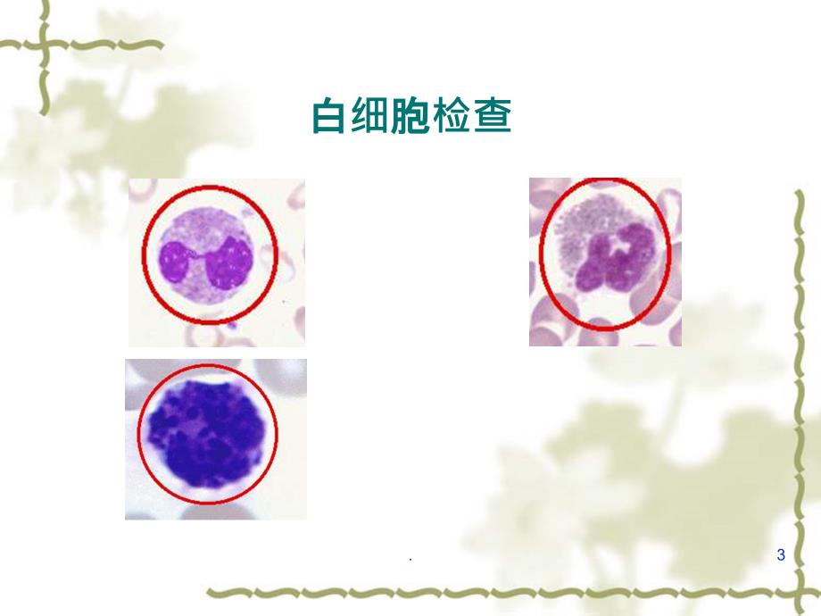 白细胞计数及分类计数PPT课件_第3页