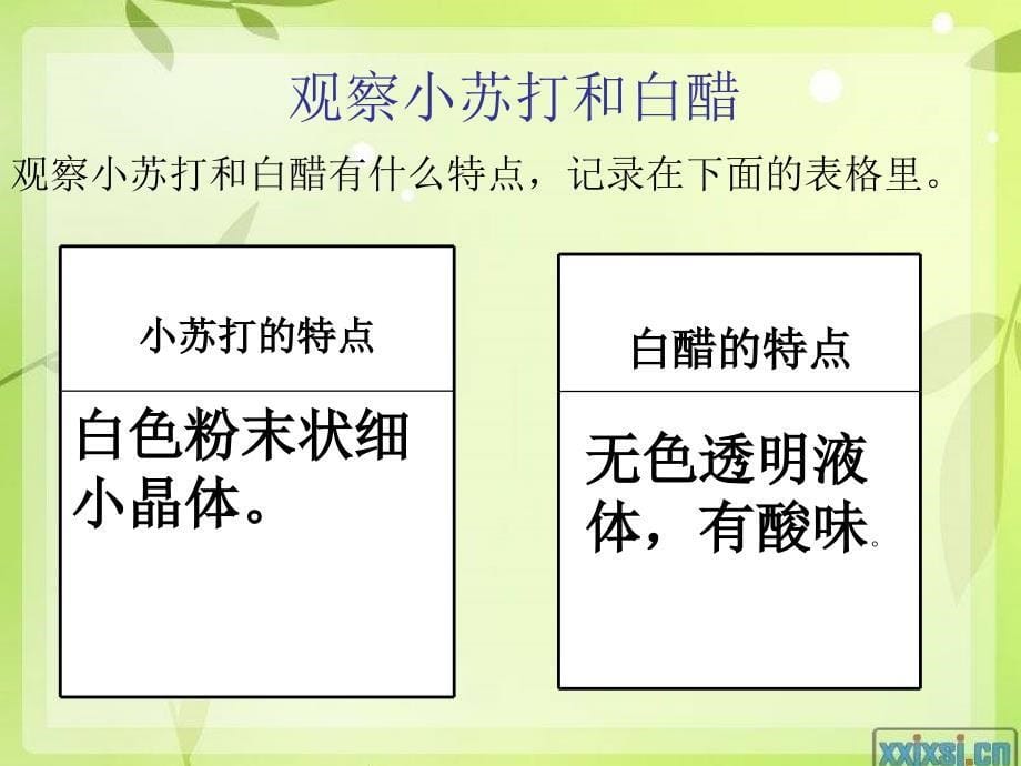 公开课科学课件胡_第5页