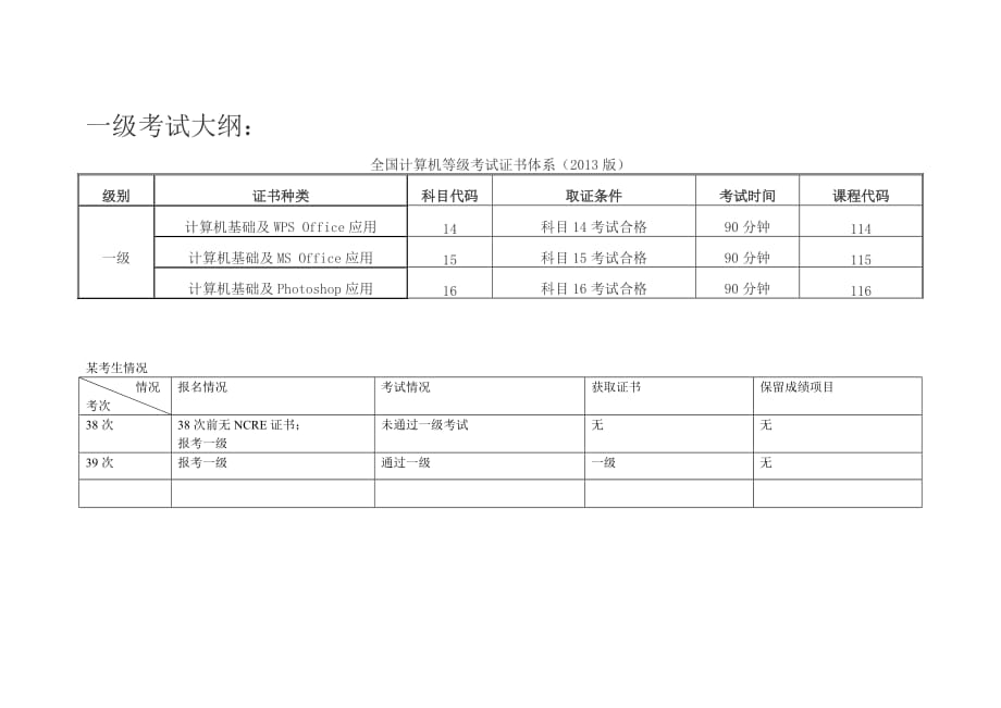 一级考试大纲：_第1页