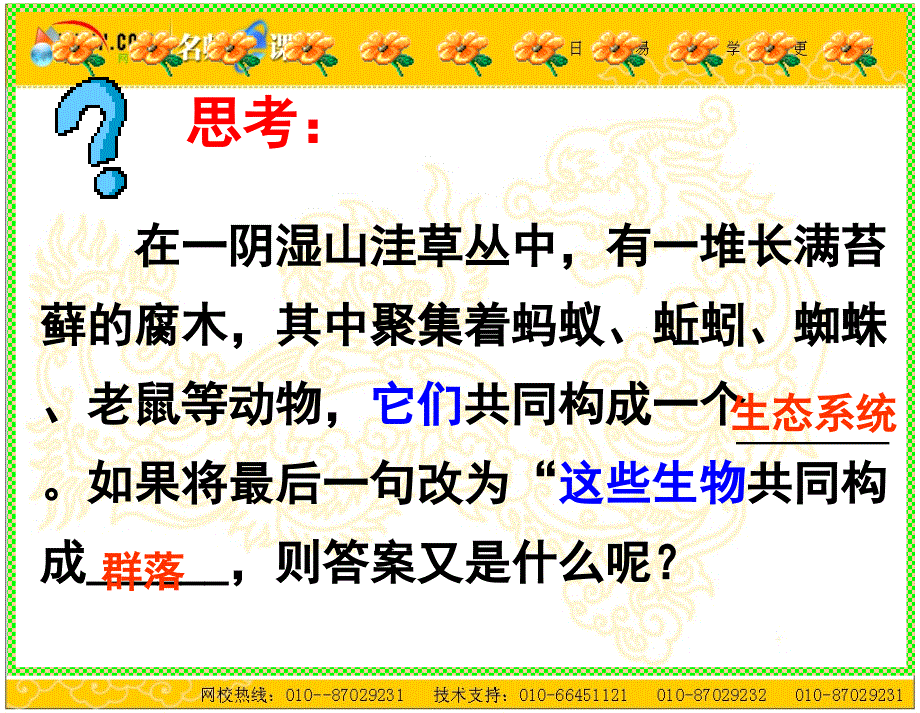 人教版教学视频生态系统的结构课件_第2页