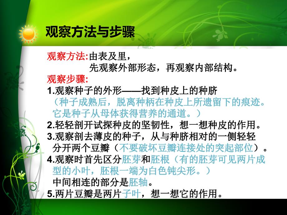 四年级下册科学课件3.1种子发芽了3大象17_第4页