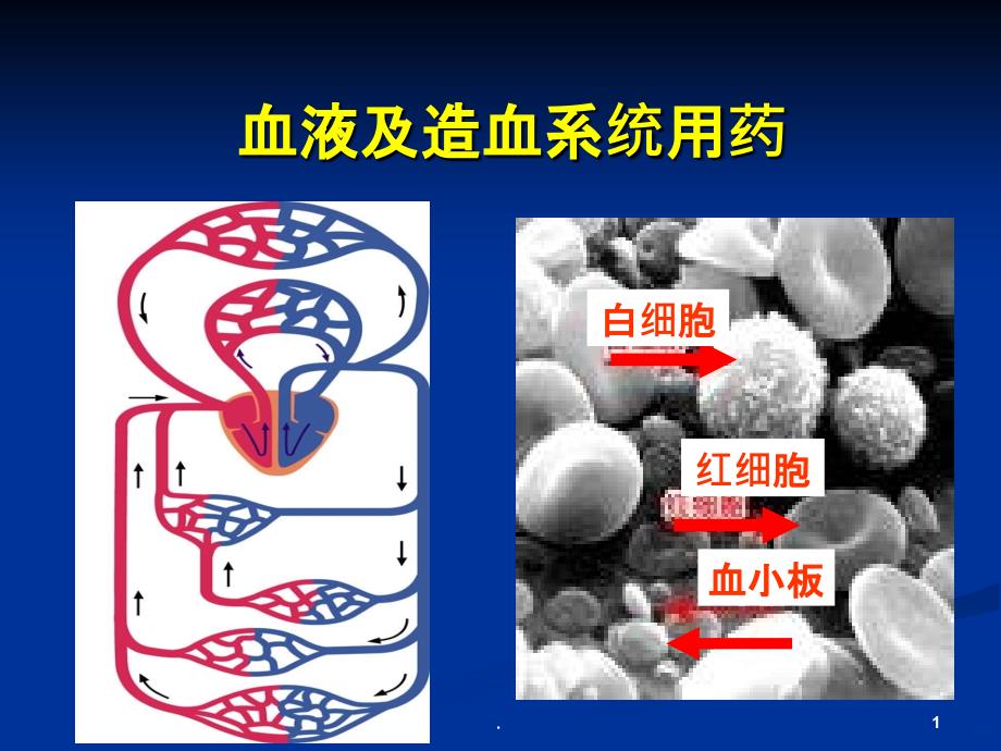 血液系统药物PPT课件_第1页