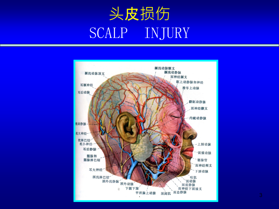 颅脑损伤病人的-护理PPT课件_第3页