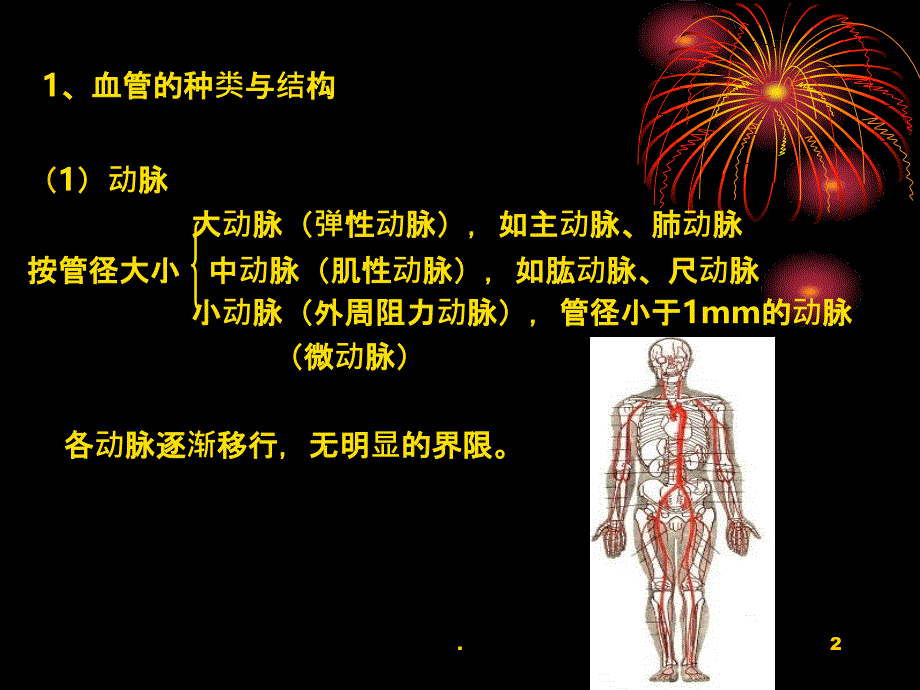 人体动静脉PPT课件_第2页