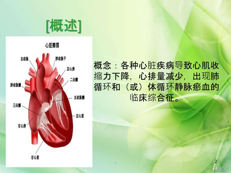 心力衰竭的护理精品PPT课件_第2页