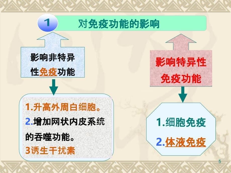 两种补虚中药药理作用PPT课件_第5页