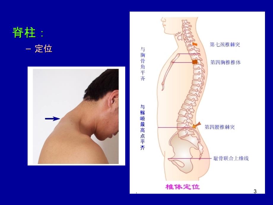 四肢脊柱神经系统检查PPT课件_第3页