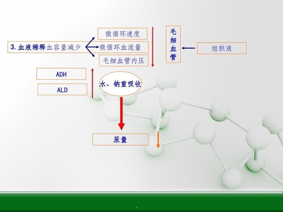 创伤的并发症ppt课件_第5页