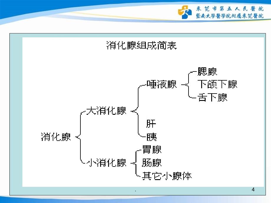 消化系统解剖生理PPT课件_第4页