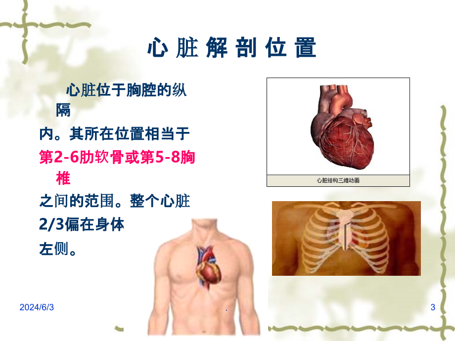 精选心脏基础解剖资料PPT课件_第3页