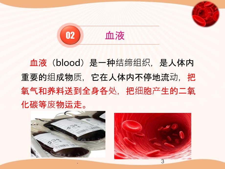 观察血细胞PPT课件_第3页