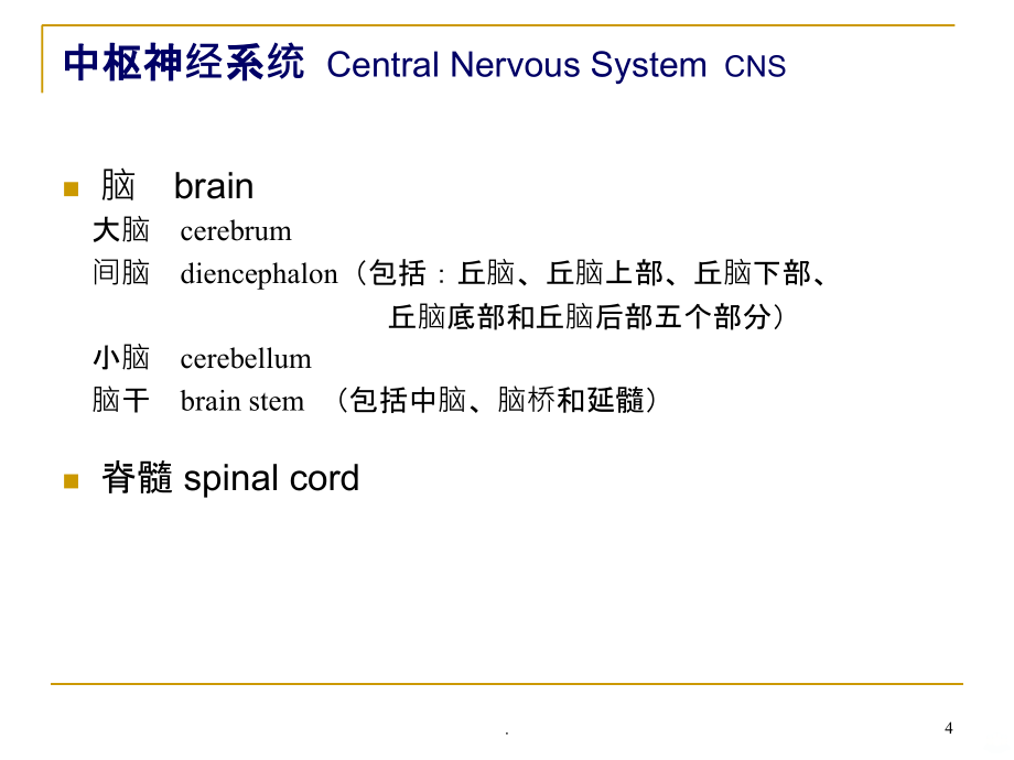 名师推荐神经系统研究PPT课件_第4页