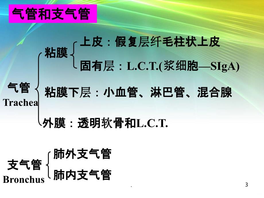 名师推荐呼吸系统生理及常见病PPT课件_第3页