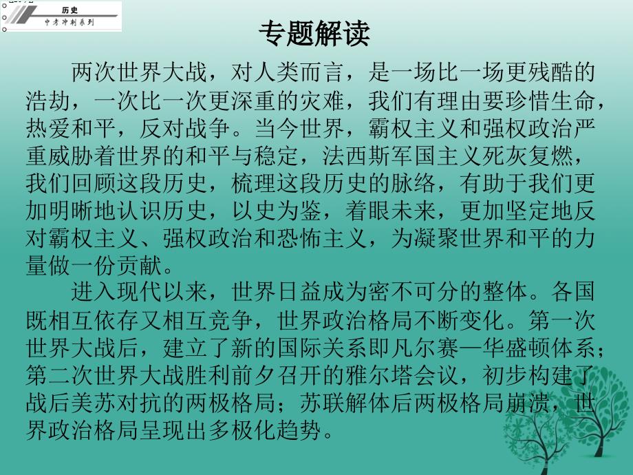 中考历史总复习专题四战争与和平——世界格局的演变课件_第2页