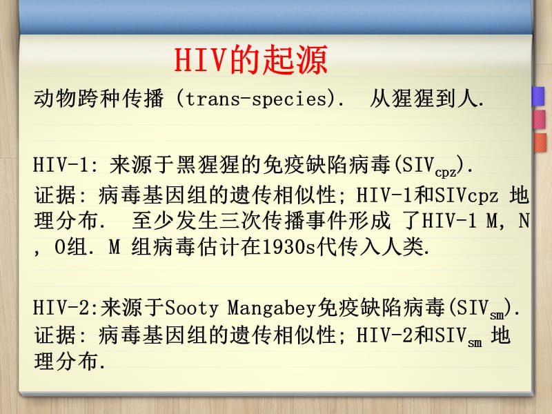 HIV基本知识概要PPT课件_第4页