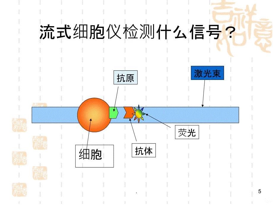 流式细胞的原理与临床应用PPT课件_第5页