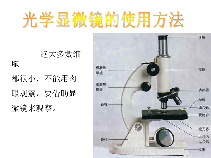 光学显微镜的使用方法PPT课件_第3页